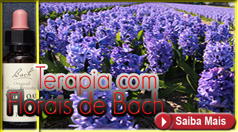 Terapia Com Florais de Bach