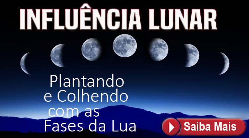 Plantando e Colhendo com as Fases da Lua