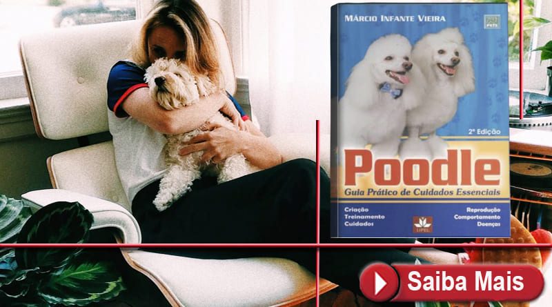 Guia Prático Como Cuidar de Poodle