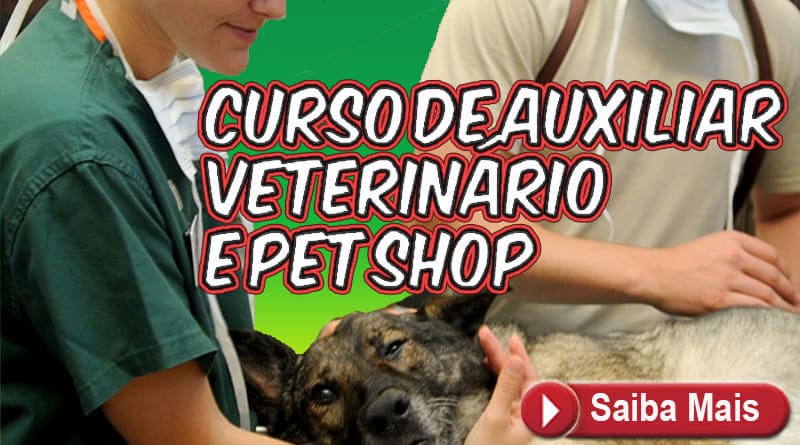Auxiliar Veterinário e Pet Shop